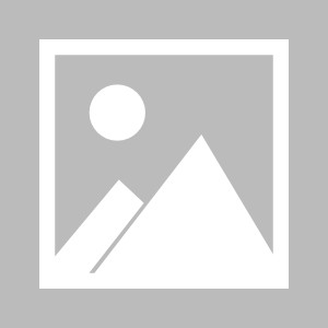 kaiyun.com-神勇蓝黑铁卫难阻败局 斯洛伐克如意算盘落空